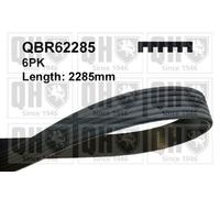 QH V-Ribbed Drive Belt - QBR62285