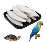 QhgPnt 12 Pieces White Cuttlefish Bone, Cuttlebone for Tortoise and Birds, 4 Size Variations Natural Calcium Supplement for Pets, Ideal for Beak Trimming and Nutritional Needs