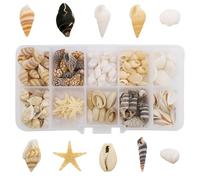 QhgPnt 215 Natural Sea Shells, Shells for Crafting, DIY Crafts, Home Decor, Wedding, Party Decorations, Aquarium Decor, 1.2CM-2.5CM