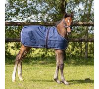 Qhp 100g Standard Foal Turnout Rug - 80 (adjustable 95 cm to 115 cm)