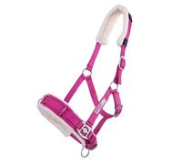 Qhp Lunge Cavesson - Shetland · Pink
