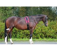 QHP Lunging Training System