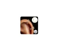 QHQQXN 2Pcs G23 Titanium Helix Piercing Jewellery Hypoallergenic Conch Hoop Huggie Hinged Clicker Nose Ring Septum Rings Silver/Gold Cartilage Rook Daith Tragus Conch Piercing
