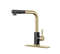 QHQQXN Kitchen Faucets with Pull Down Sprayer, Stainless Steel Single Handle Classic Pull Out Bar Sink Faucet for Farmhouse Laundry RV, with Deck Plate for 1 or 3 Holes, Black Gold