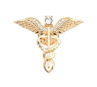 QIAN0813 Medical Symbol Caduceus Stethoscope RN Nursing Badge Brooches Lapel Pin for Registered Nurse Doctor Rod of Asclepius Emergency Brooch Jewelry, 3.2cm x 4.0cm, Metal