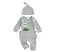 Qianderer Newborn Baby Boy Coming Home Outfit Romper Hi I'm New Here Dinosaur Print Long Sleeve Jumpsuit Bodysuit Cute Infant Fall Clothes (Ba Gray, Newborn)