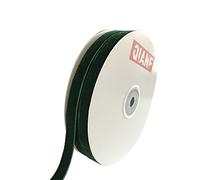 QIANF Vintage Green Velvet Ribbon, 3/8 Inch X 25Yd
