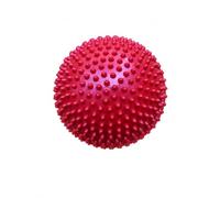 Qianly Children for Fitness Stability Cushion Exercise Mat PVC Material Suitable for Home Activities Kids Training Physical Therapy, Red, Red