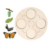 Qianly Cycle Early #Learning From Preschool, Butterfly