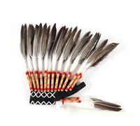 Qianly Feather Headdress Indian Headwear for Halloween Theme Party Stage Performance, Black White