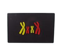 Qianly Human Body Chromosome Model for Meiosis Component Change, Portable, Easy to Assemble