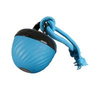 Qianly Interactive Dog Toy Ball with Ropes Three Mode Motions Moving and Rolling Automatic Random Movement Pet Puppy Ball, Blue