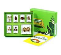 Qianly Nature Sample Kit Hands on Educational Sample Kit s for Homeschool, Delicious Nuts