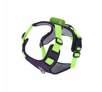 Qianly Reflective Harness Leash Vest Retractable Adjustable Vest Lightweight Nylon Oxford Polyester Leash For Hands On Control Suitable for routine walks, Cyan, L