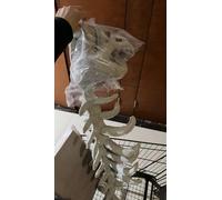 QianYiHC Dinosaur Skeleton Plush Costumes,Wearable Soft Fossil Outfit,Realistic Dinosaur Skeleton Costume,Halloween Cosplay Lightweight Dinosaurs Fossil Jumpsuit,for Fancy Dress Parties (Small (75cm))