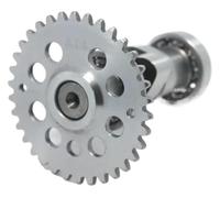 QIAOG Racing Camshaft Compatible With GY6 A8 A9 A10 A11 A12 A13 A14 A15 1P52QMI 1P57QMJ 125CC 150CC ATV Quad Go Kart Scooter,111