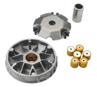 QIAOG Variator Kit 10g Roller Set Compatible With GP1 LowSeat125 Eu3 Rambla125cc Scooter CM144403