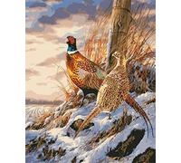 QIAOYUE Field pheasant Paint By Numbers for Adult and children painting Living room bedroom kitchen decoration canvas 40X50CM frameless