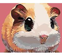 QIAOYUE Paint By Numbers for adults and children DIY painting, beginner painting, art preprinted canvas (frameless)-Guinea Pig