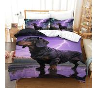 QIAVXZIP 3D Dachshund Soft Printed Bedding Set 3 Pieces Duvet Cover Soft Microfiber with Pillowcases For Kids Teens Boys Zipper Closure Single（140x200cm）