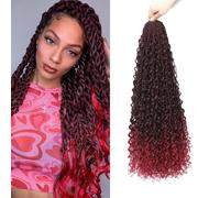 QIDESHENG Senegalese Twist Crochet Hair, 9 Packs Pre-Looped Island Twist Boho Braids with Curls, Synthetic Hair Extensions for Black Women（1B/Bug 24inch ）