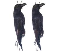 Qidures 2pcs Realistic Hanging Dead Crows Decoy, 43cm Fake Crow, Realistic DeadCrow, Handmade Black FeatheredCrow, CrowDeterrent, Decoy Deterrents Bird Pigeon Scarer For Backyards Patios Doors Window