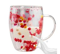 Qidures Dried Flowers Double Walled Glass Coffee Mug, 350ML Insulated, Red with Dry Flowers