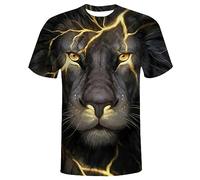 QiErDesign Men 3D Printed Short Sleeve T-Shirts Casual Graphics Tees, #12, XXL