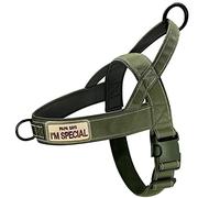 QIFBYFB No Pull Dog Harness - Medium Large, Adjustable, Reflective, Escape Proof - Green XL