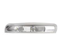 QIFHFBA Blinker Lamp For Chevy For Captiva 2007-2016 Car Rear View Mirror Lights Auto Turn Signal Lamp Side Lateral Binker Automotive Accessories 12V Dynamic Turn Signal Light(Left)