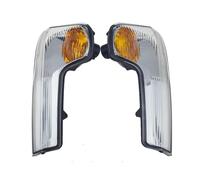 QIFHFBA Blinker Lamp For Iveco For Daily VI 2015-2020 Left/Right Side Rearview Mirror Turn Signal Lights Indicator Housing No Bulb 5801823572,5801823334 Dynamic Turn Signal Light(Left and Right)