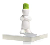 QIFLY 1PC Mini Bonsai Head Grass Hair White Ceramic Plant Garden,Tree Doll Grass Pot Cactus Cartoon Lovely Personality Ornament Ceramic Flowerpot Ceramic Flower Pot