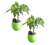 QIFLY 2PC Mini Colourful Round Plastic Plant Flower Pots Home Office Decor Planter Indoor Flower Plant Pots, White Gardening Pot with Drainage - NO Plant Included 7 * 7 * 6.5cm (As show, Green)