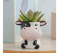 QIFLY Small Animal Ailurus fulgens Pot Ceramic Succulent Plant Pot Cactus Potted Planting Bonsai Pots Set Ceramic Flower Pot decoration gardening balcony desk bookshelf dinning table living room