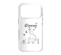 Qigong Beginner/Qigong Beginners/Calligraphy Design Case for iPhone 17 Pro
