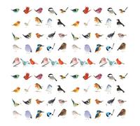 QIHUAN 92 Bird Stickers, Cute Animal Stickers, Waterproof Stickers, Which Can Decorate Scrapbooks, Mobile Phone Cases, And Water Bottles.