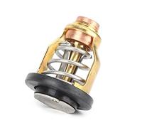 Qiilu Outboard Motor Thermostat, Boat Motor Outboard Engine Replacement 60V-12411-00-00 Fit for F115 VZ200 VZ225 VZ250