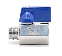 QiiMii SS304 New 1/4" Stainless Mini Ball Valve BSPT Famale x Male Thread with Blue Handle