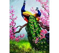 Qijinn Paint by Numbers for Adults,Peacock Flowers DIY Hand Painted Canvas Oil Painting Kit for Beginners,with Brushes and Acrylic Pigment Paint by Numbers for Home Wall Decor 45x60cm,Without Frame