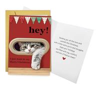 Qiliji Funny Cat Christmas Card for Him Her, Cute Xmas Holiday Card for Cat Lover, Holiday Greeting Cards Gifts, Hey I Just Want to Say Merry Christmas, Suitable for Family Friend Kid