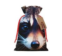 QIN&ZHENG Little Raccoon Face print Drawstring Gifts Bag for Women Christmas Birthday Personalized Present Bag,1 Piece