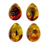 Qing Hui 1pcs Amber Fossil with Insects Samples Stones Resin Amber Butterfly Insect Stone Beautiful Pendant Necklace Baltic Amber (Random Pattern)