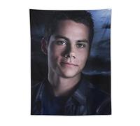 QINGRONG Dylan O'Brien American Actor Poster Polyester Wall Art Prints Tapestry Gifts Photo Picture Painting Tapestries Room Decor Home Decorative 30"x40"