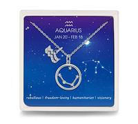 Qings Aquarius BFF Necklace Cubic Zirconia Horoscope Birthstone Best Friend Crystal Necklaces