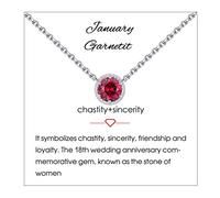 Qings Birthstone Pendant Necklace 925 Sterling Silver Necklace Cubic Zirconia Halo Necklace Braided Edge January Garnet Necklace for Women Girls