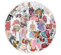 QINGZHUO-50pcs Off-The-Machine Stickers Medical Student Notes Body Structure Graffiti Water Glasses Waterproof Vinyl Stickers Guitars