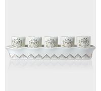 QINLANG White Buddhist 5 Altar Cups Set, Buddha Water Cup Set of 5, Ceramic Holy Water Offering Cup for Altar