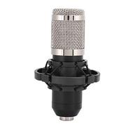 Qinlorgo Condenser Microphone, High Sensitivity Wide Dynamic Range Exquisite Design Wired Microphone, for Voice Recording Live Streaming Karaoke Youtuber Broadcast