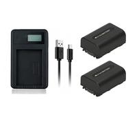 Qinoc 2 Pack NP-FV50 Battery + USB Charger for Sony FDR-AX100, FDR-AX30, FDR-AX33, FDR-AX43, FDR-AX53, FDR-AX700, FDR-AXP33, FDR-AXP35, HDR-CX110, HDR-CX115, HDR-CX116, HDR-CX130, HDR-CX150 Camera