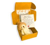 QinZiEn Worry Bear Hug in A Box,Handmade Little Bear in A Box with Inspirational Card,A teddy bear Hug in A Bo/x,Plush Toys,Mini Teddy Be/ar,Little Pocket Be/ar H/ug,Sympathy Gift for Christmas,White